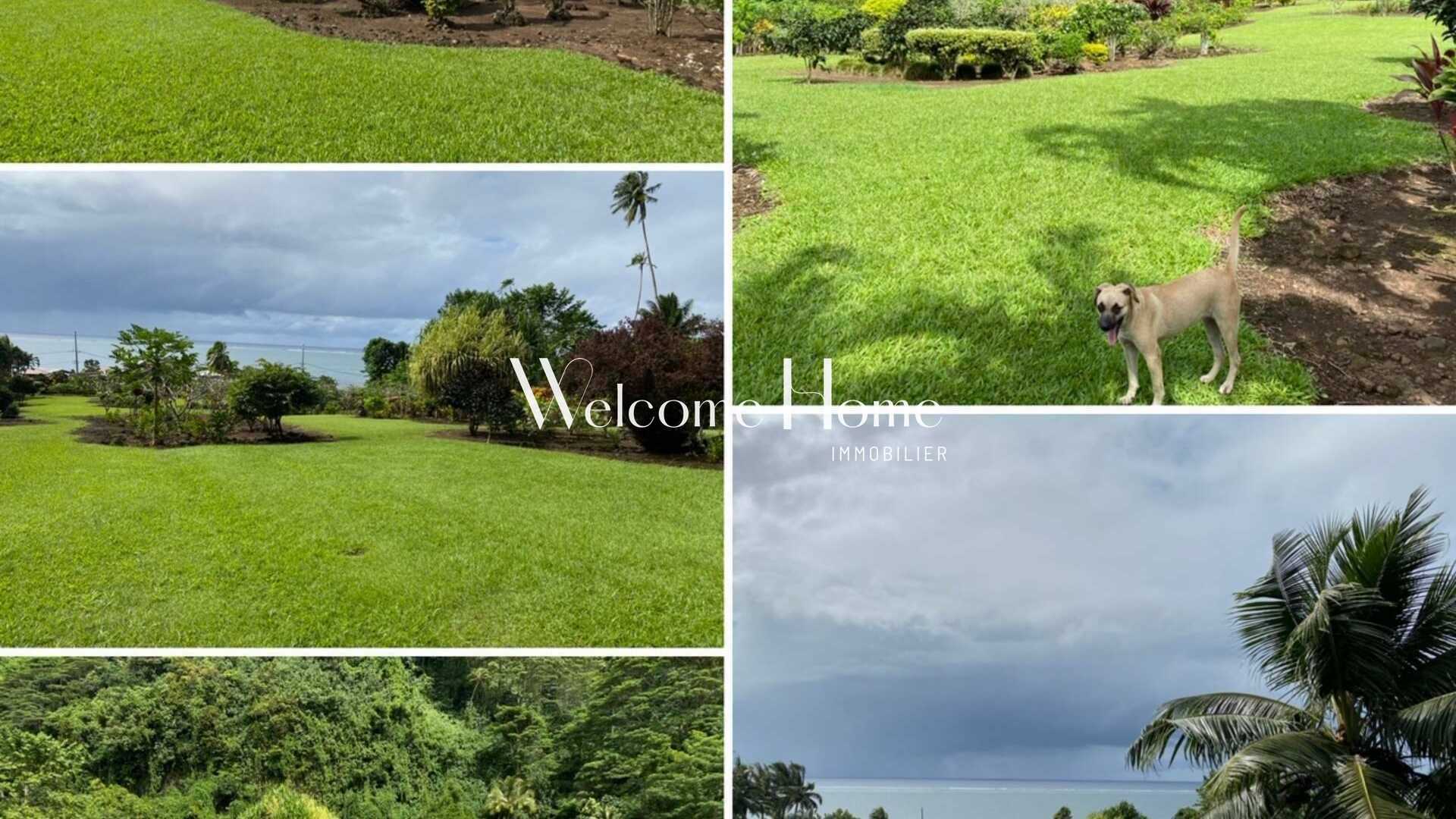 https://tahitiwelcomehome-public.s3.eu-west-3.amazonaws.com/estates/10/photos/6D557DD5-7FD3-485F-B6C3-614774C10B86.jpg